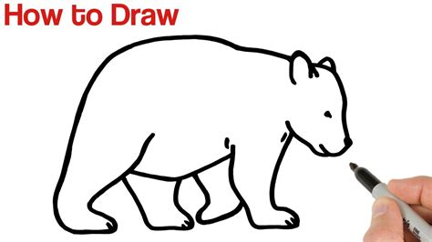 what is the easiest animal to draw